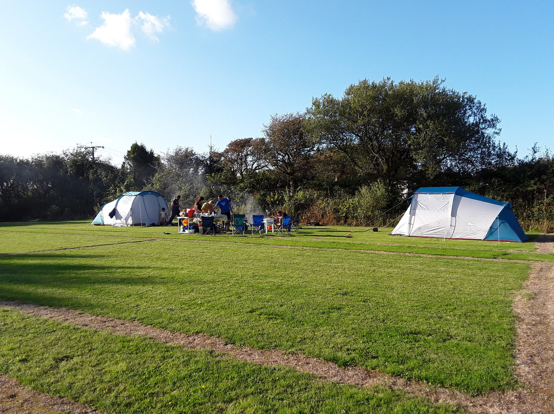 Sycamores Camping