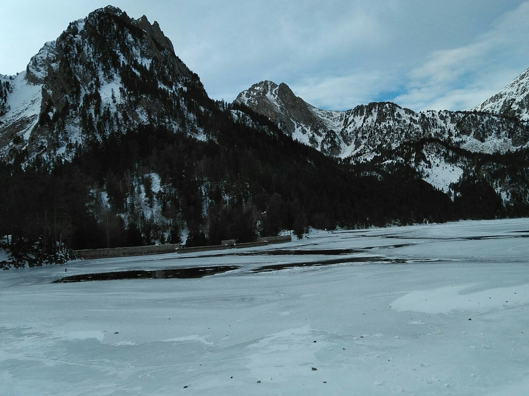 Parc Natural de l'Alt Pirineu景点图片