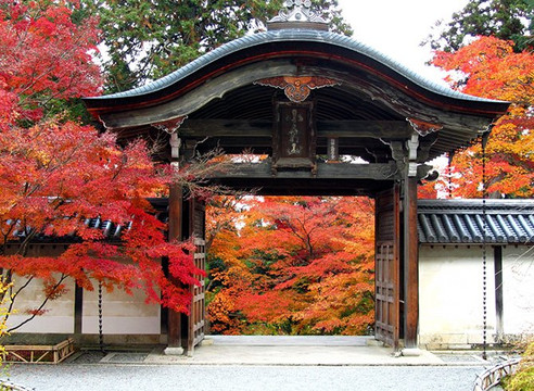 京都MK观光车-京都市必去景点