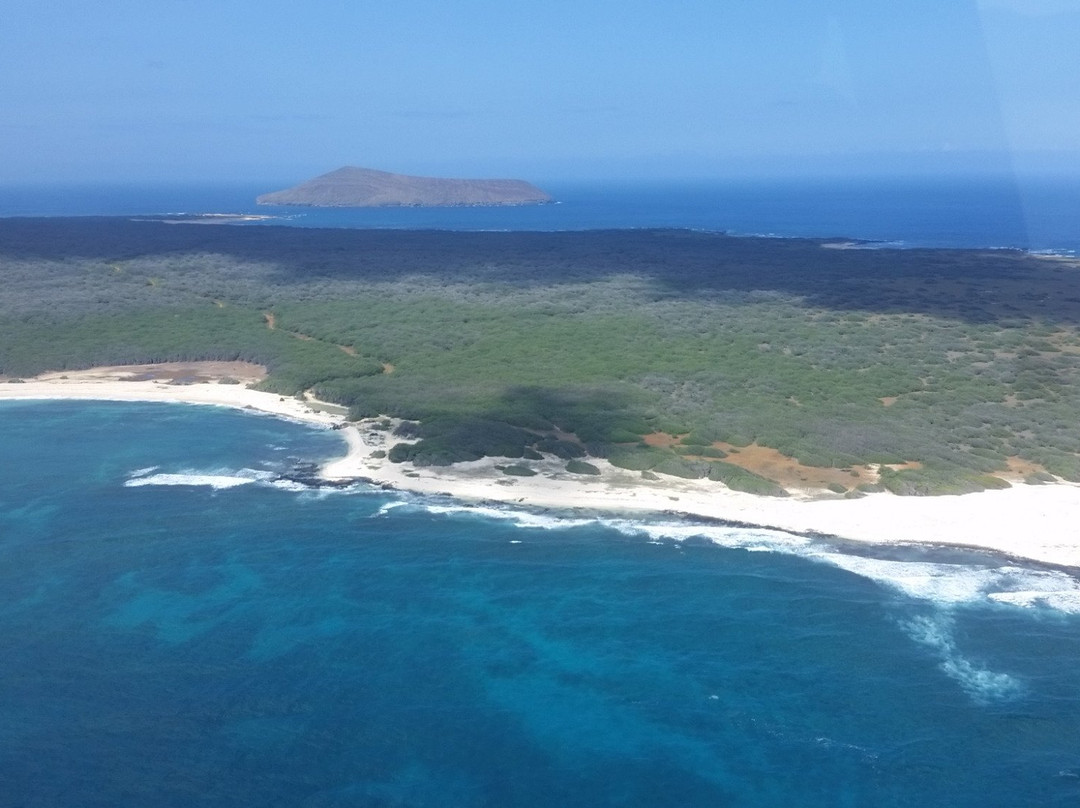 Niihau Helicopter-马卡韦利必去景点