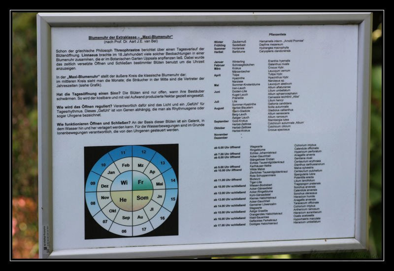 Botanischer Garten Giessen-吉森必去景点