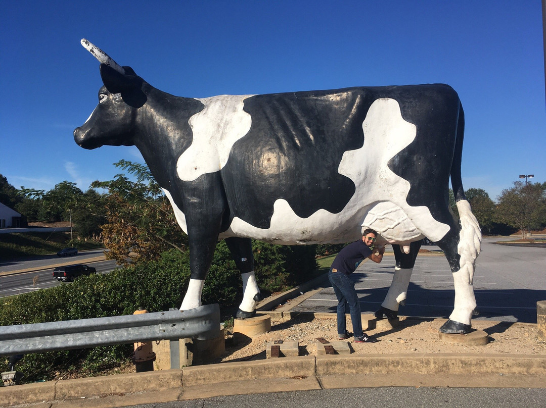 Kadie the Cow of Columbus-哥伦布必去景点