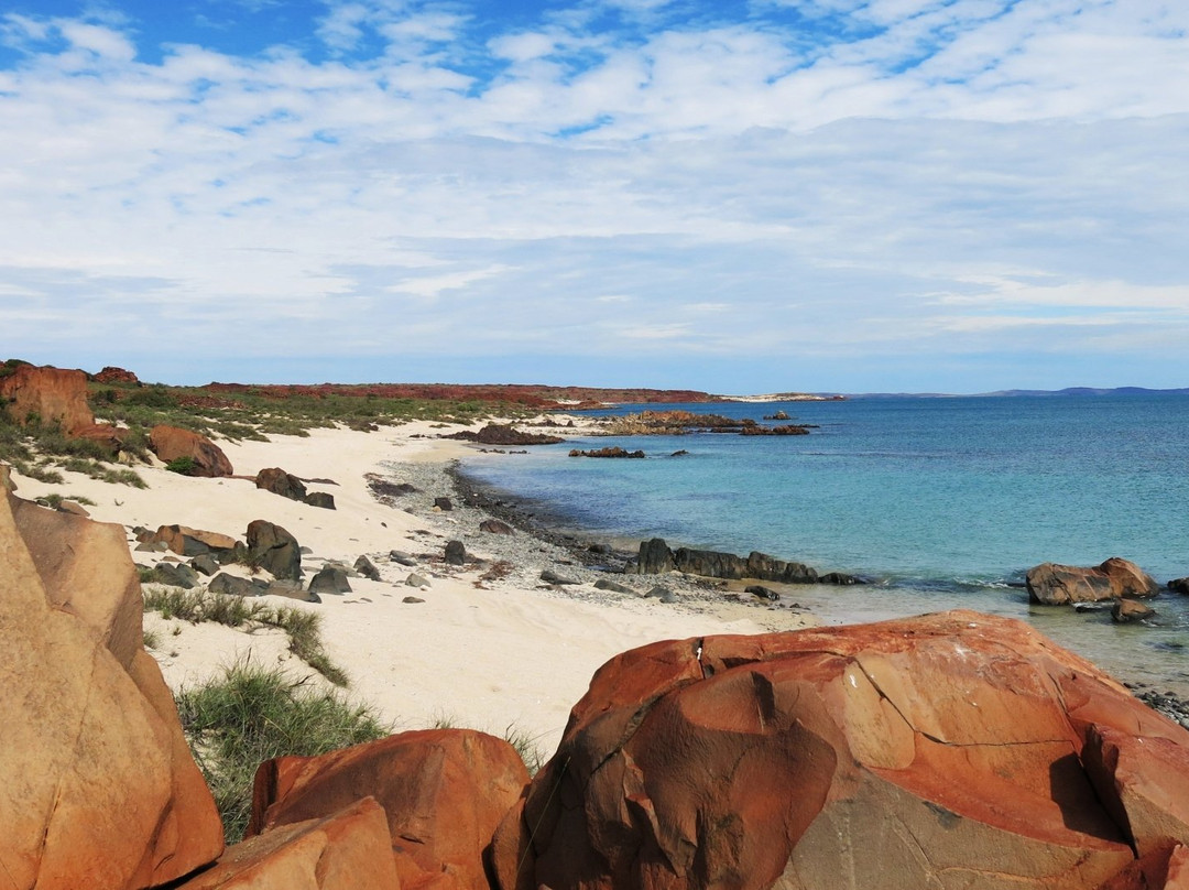 Dampier旅游攻略图片