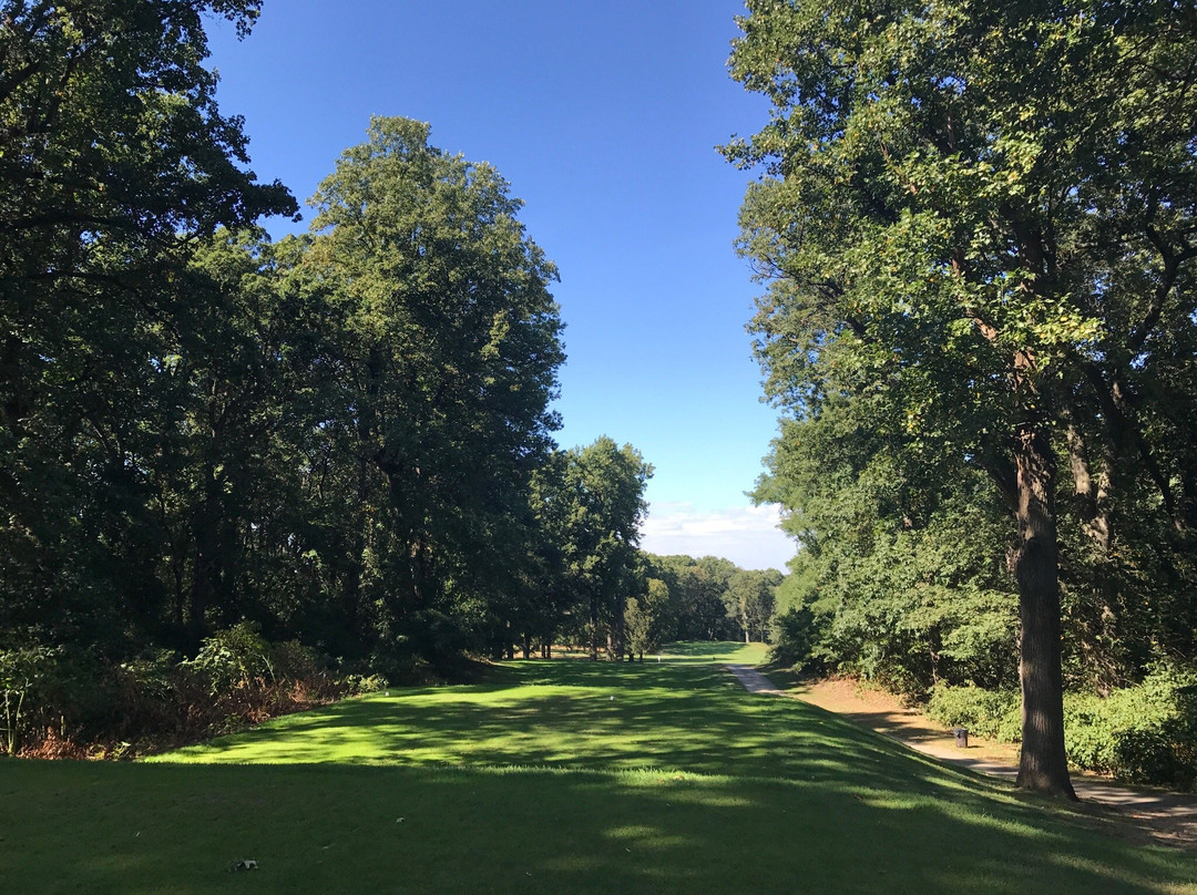Forest Park-Woodhaven必去景点