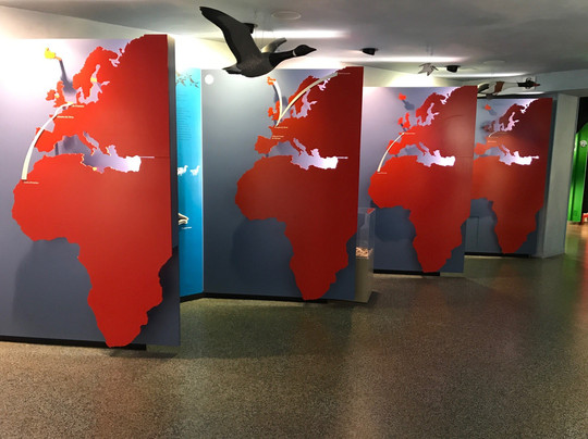 Maison de la Nature et de L'Estuaire-Sallenelles必去景点