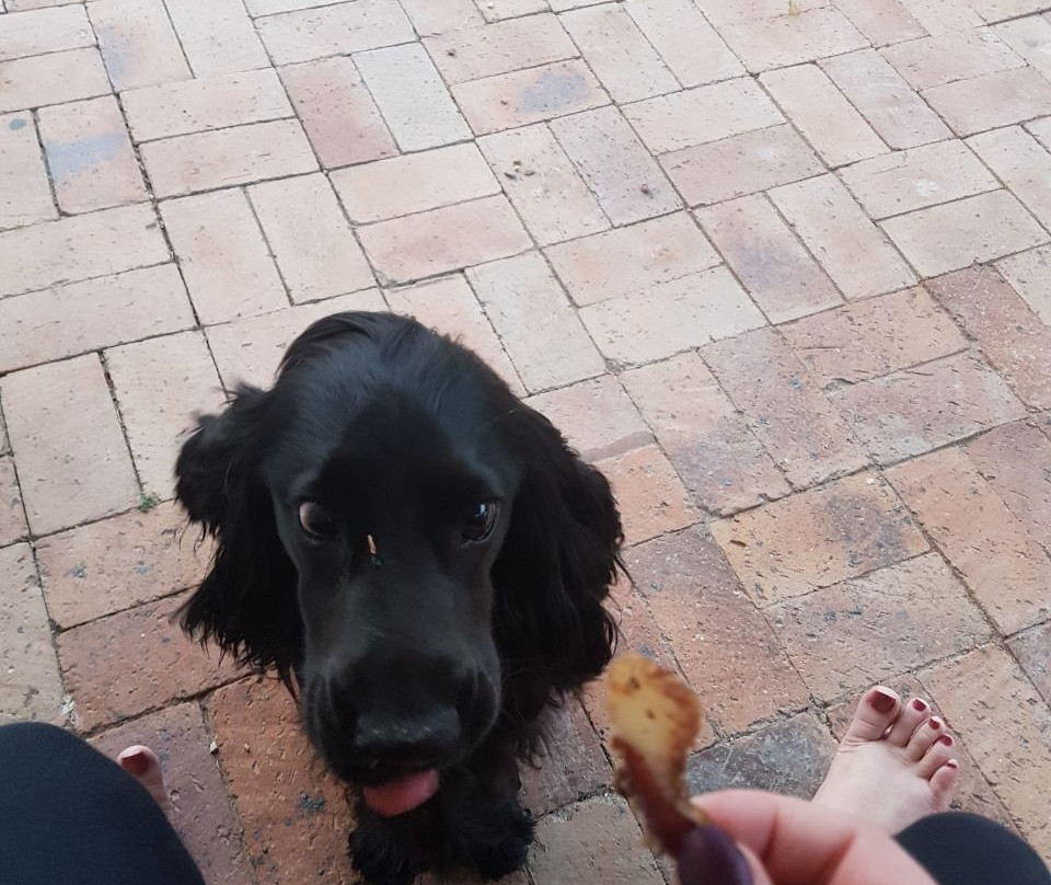 SummerHouse McGregor主图