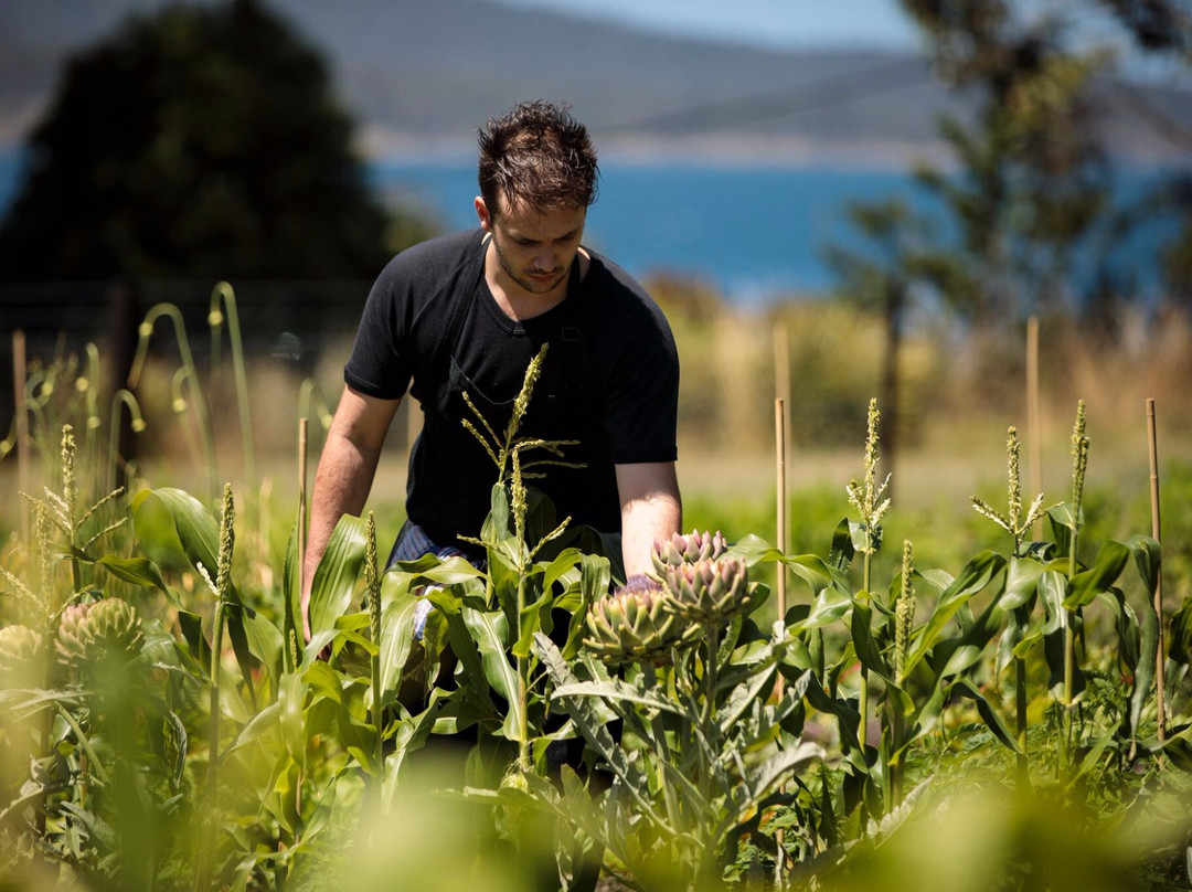 Peppermint Bay Day Cruises-霍巴特必去景点
