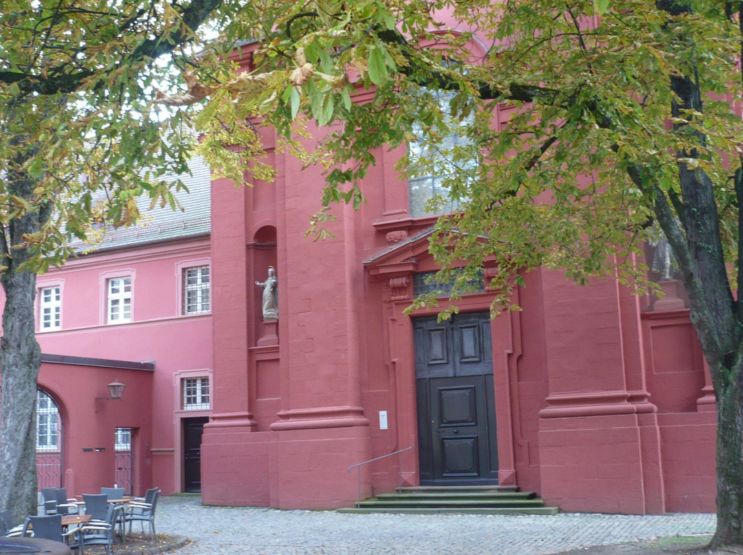 Museum Natur und Mensch景点图片