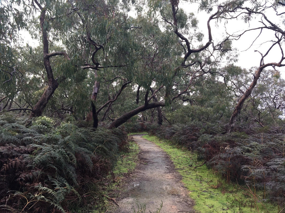Woodlot Lane Nature Reserve景点图片