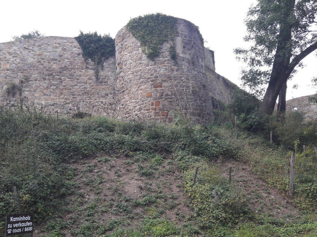Burg Wilhelmstein景点图片