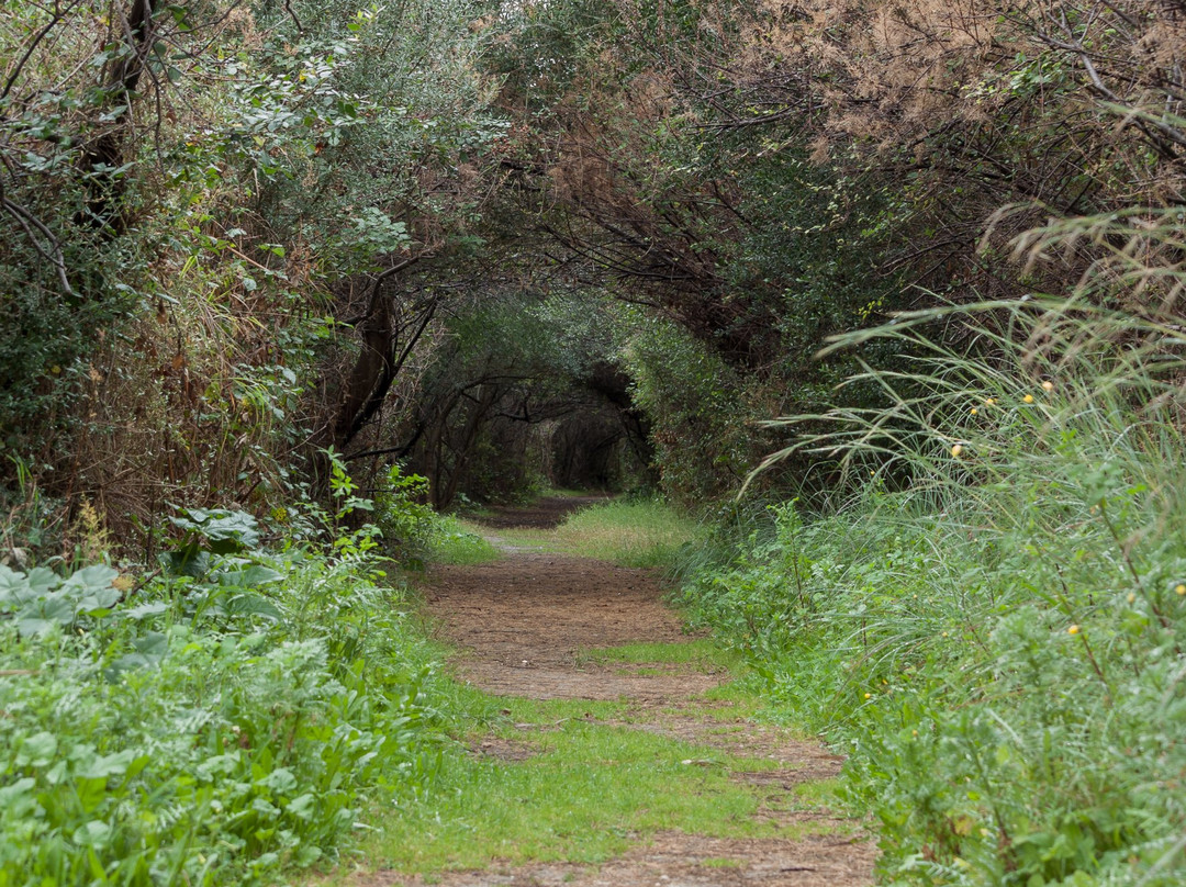 Riserva Naturale Saline di Priolo-Priolo Gargallo必去景点