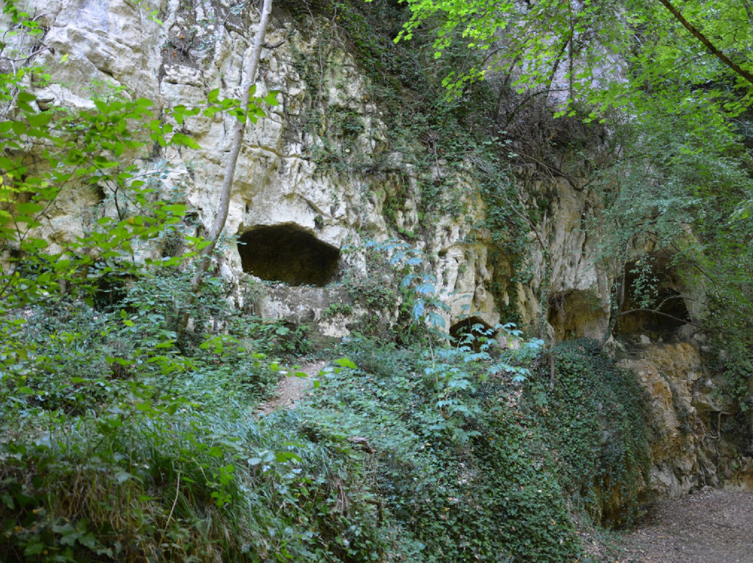 Tombe rupestri di San Liberatore景点图片