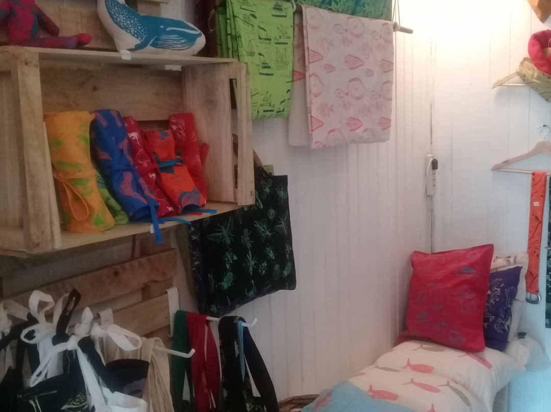 Tienda & Taller Chancho-Castro必去景点