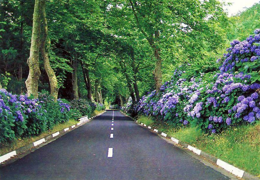 JM Azores Tours-蓬塔德尔加达必去景点