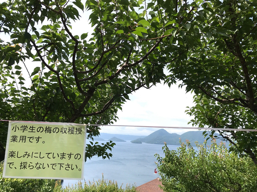 Sobetsu Park-壮瞥町必去景点