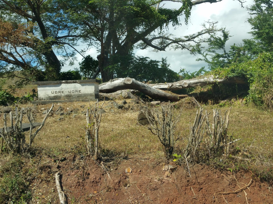 Tomb of Udre Udre景点图片