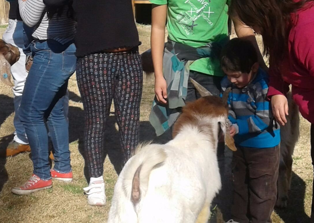Arca del Pequen Granja Educativa Copequen-Copequen必去景点