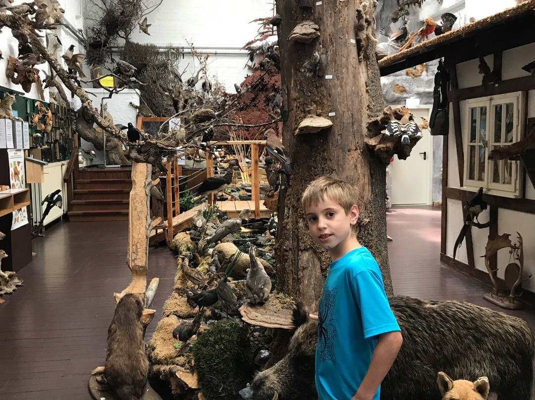 Erlebnismuseum Lernort Natur景点图片