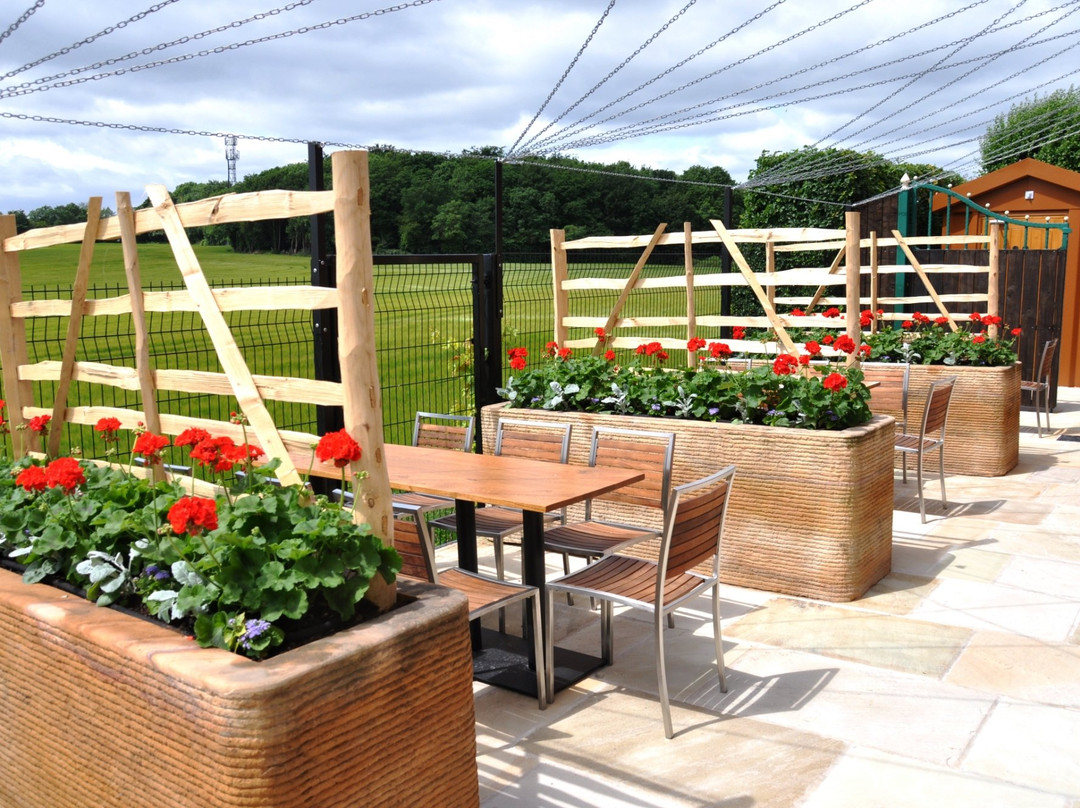 North Anston餐馆和美食-Lotties Coffee Lounge