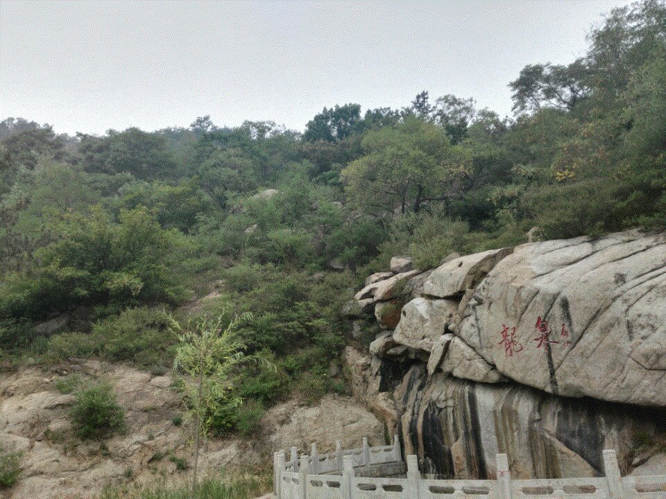 棋山森林公园-莱芜市必去景点