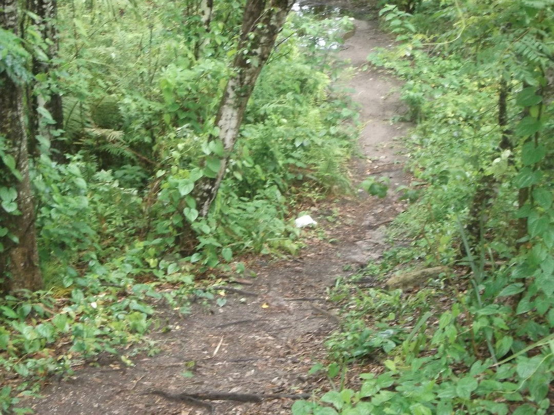 Blanchard Park-奥兰多必去景点