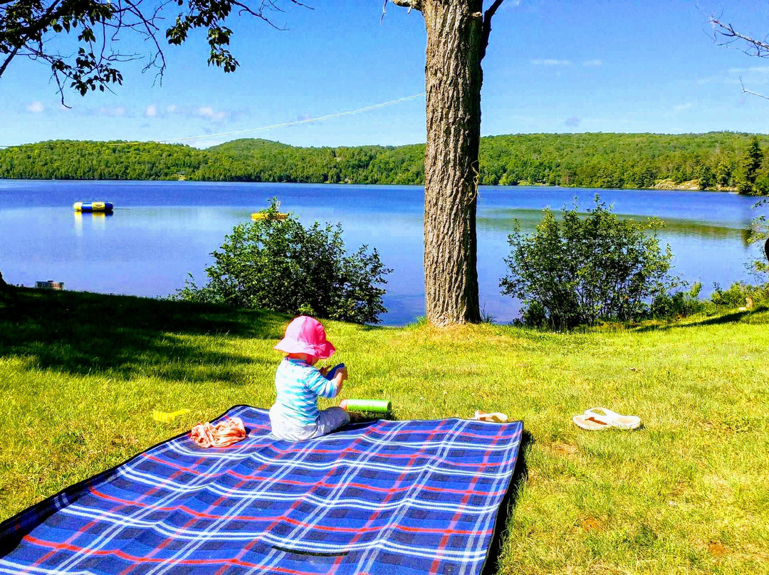 Bevaline Cottages & Camping