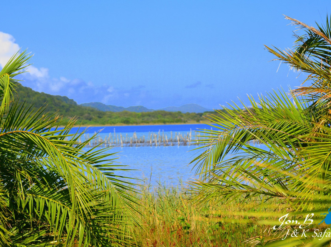 J and K Safaris-圣露西亚必去景点
