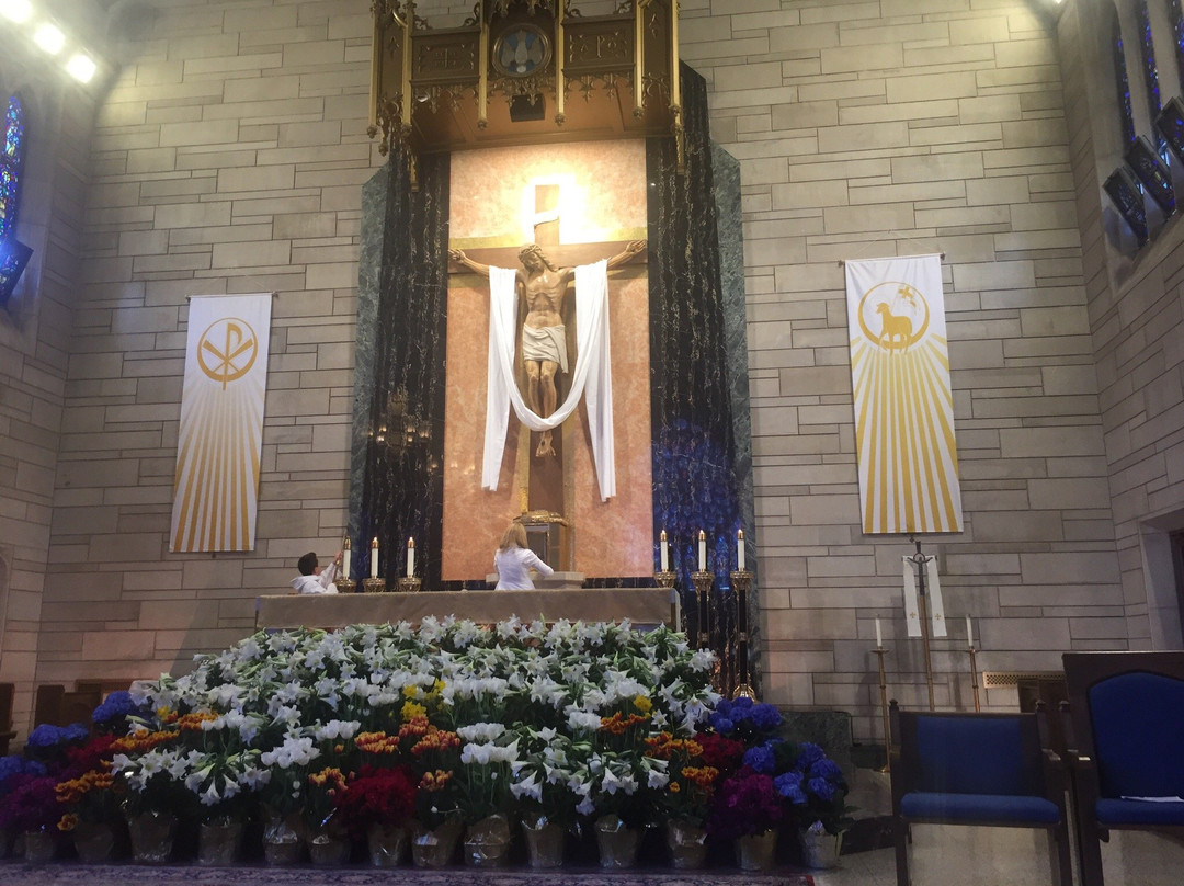 St. Paul's Catholic Church景点图片