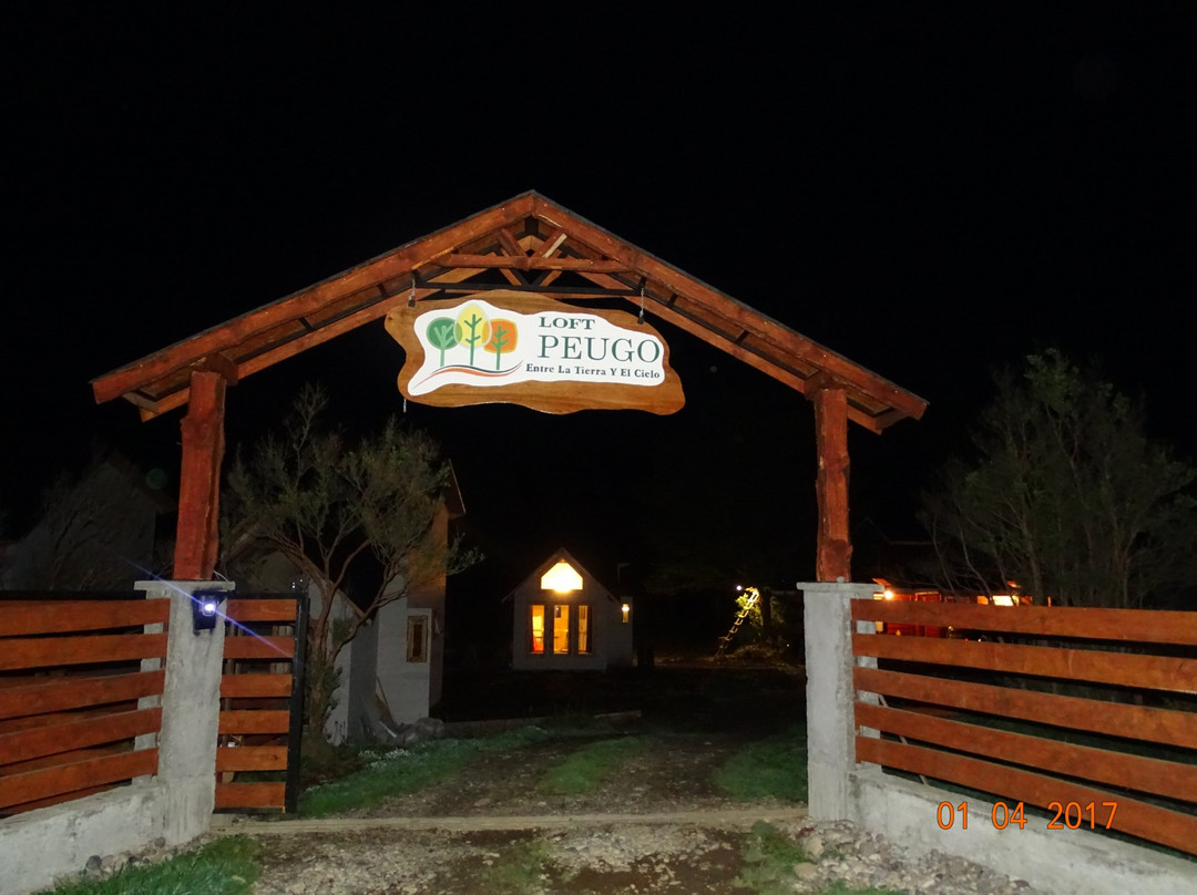 Loft Peugo