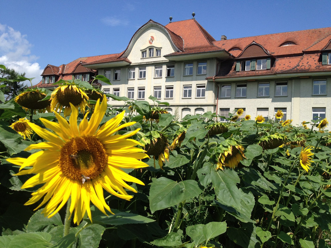 bioschwand