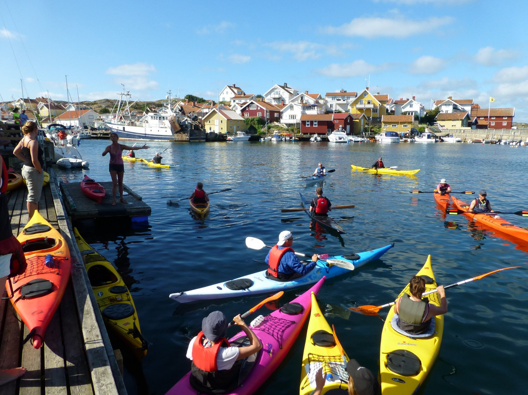 Kayak in Grundsund景点图片