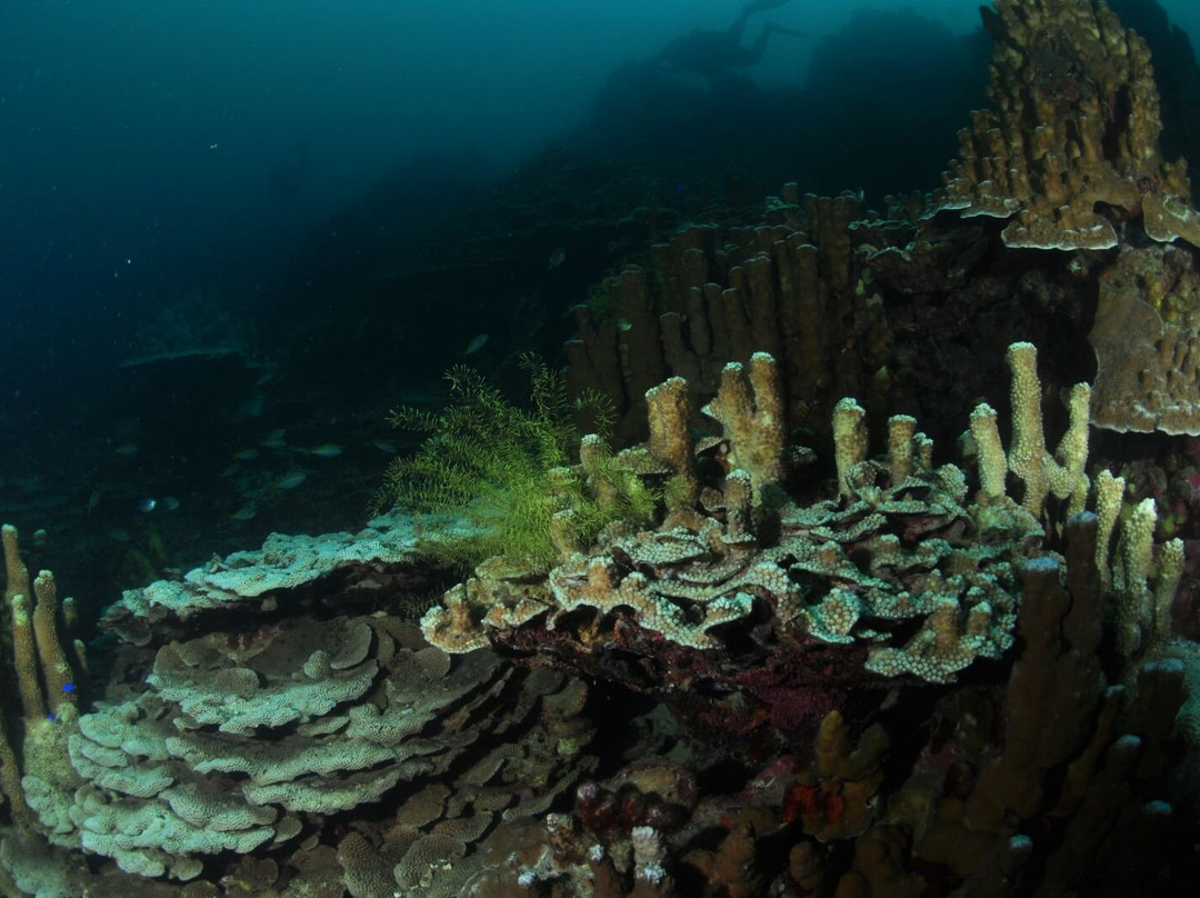 Tanjung Putus Island-班达楠榜必去景点