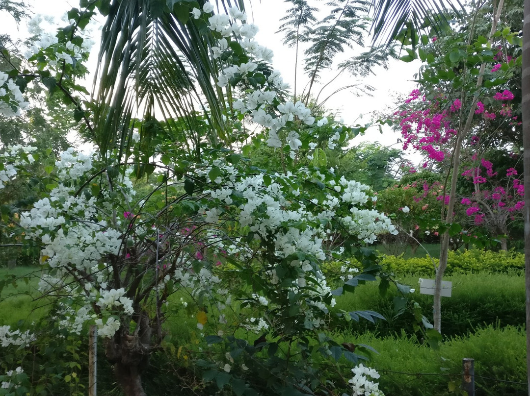 Kadri Hill Park-芒加罗必去景点