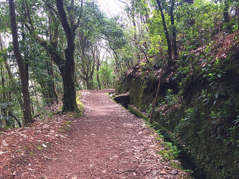Walkme Madeira Levadas-沙尔必去景点