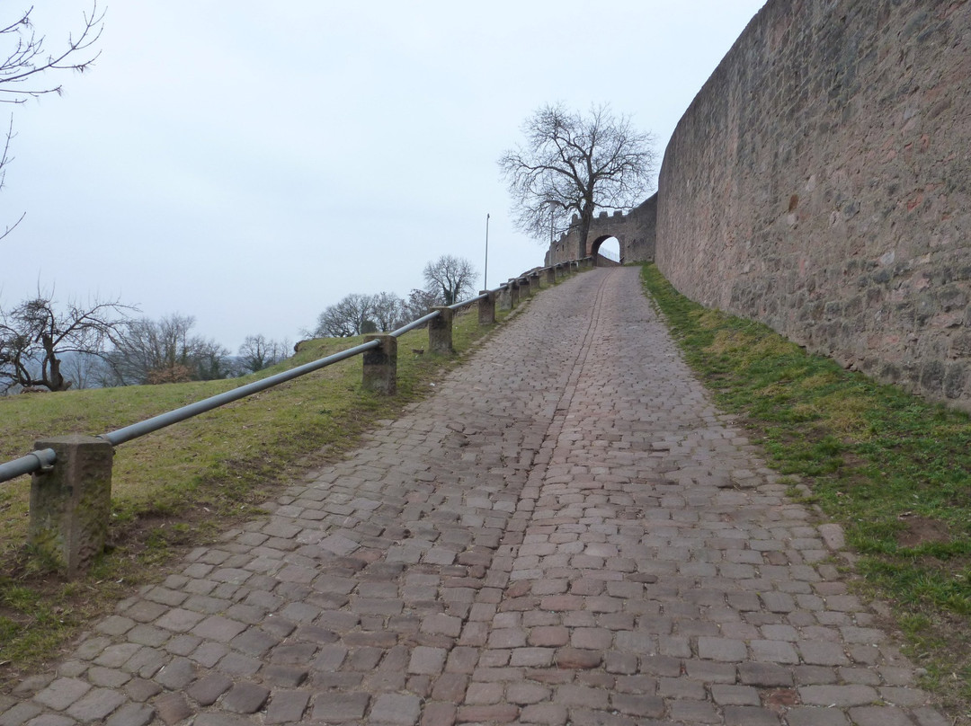 Burg Breuberg-Breuberg必去景点