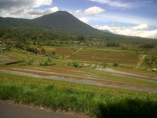 Bali Side Tour景点图片