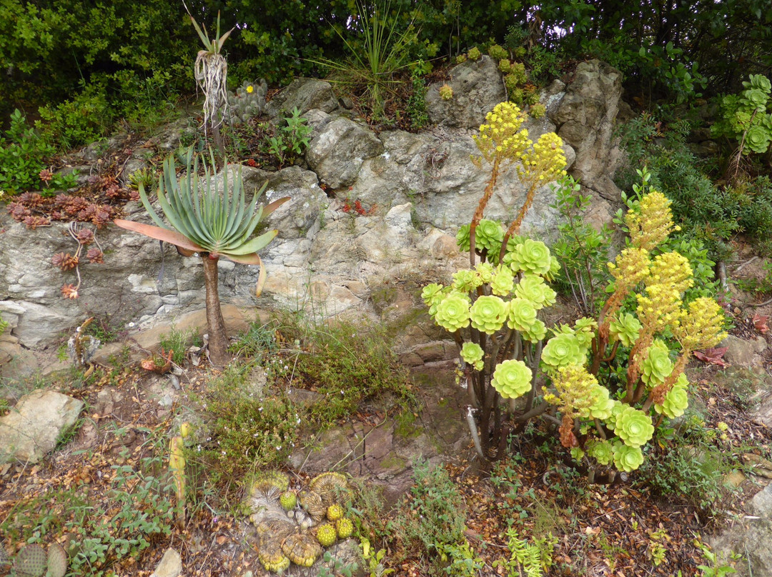 Jardin Botanique Du Baudouvin景点图片