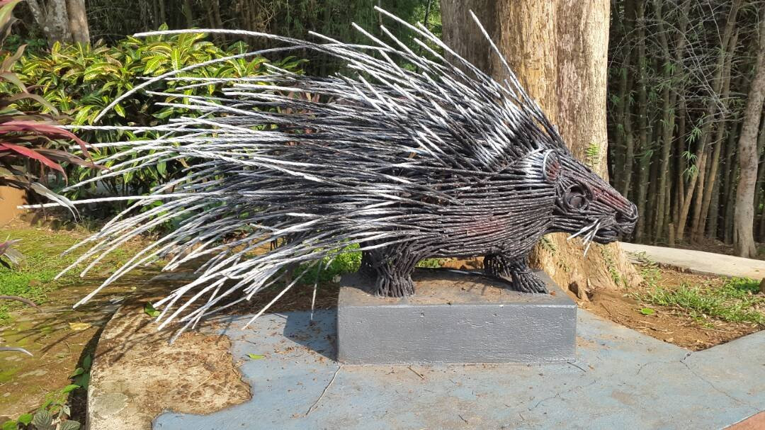 Thattekkadu Bird Sanctuary景点图片