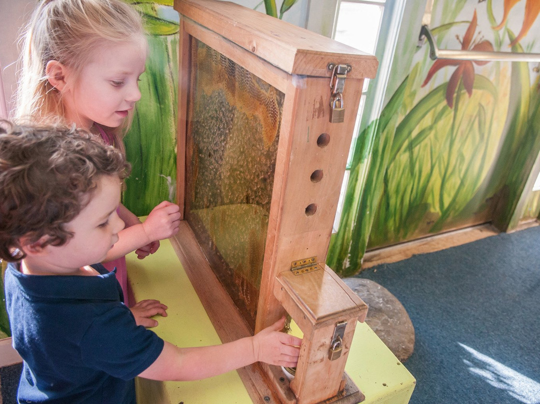 Niantic Children's Museum-Niantic必去景点