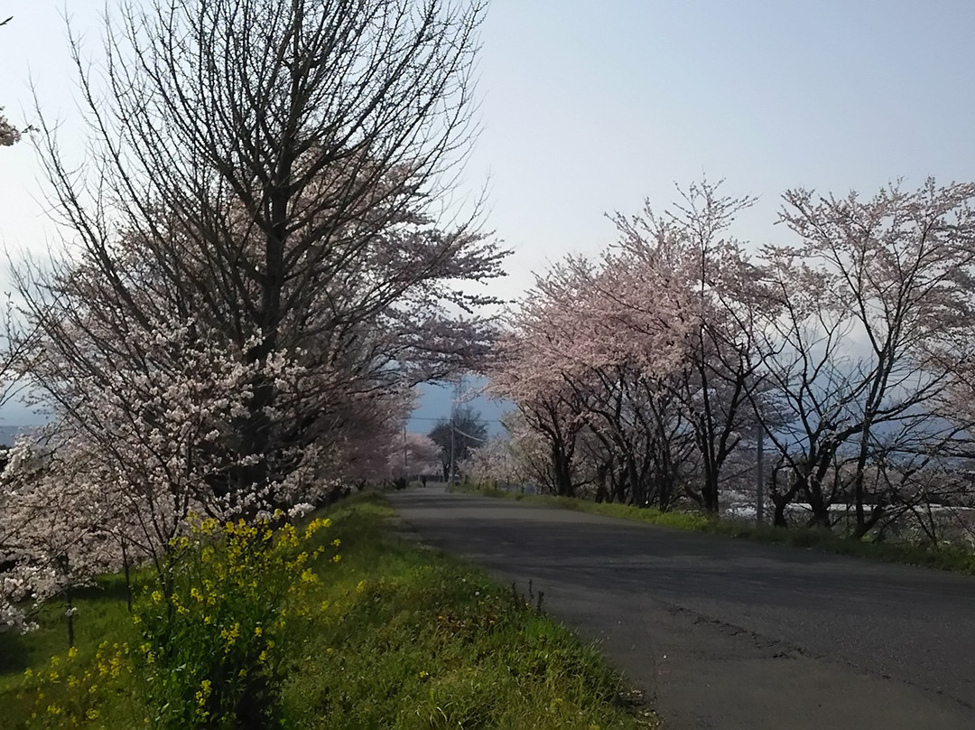 Oshimazutsumi Cycling Road-大垣市必去景点
