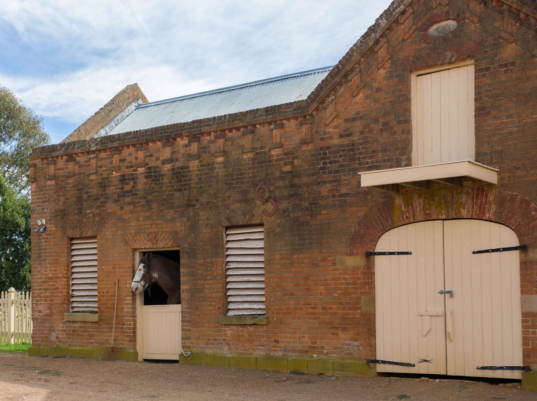 Cooma Cottage-亚斯必去景点