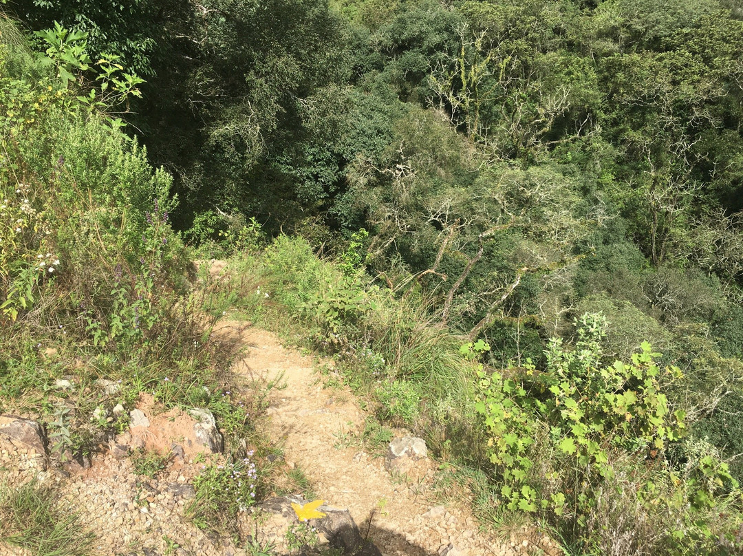 El Mirador-圣洛伦索必去景点