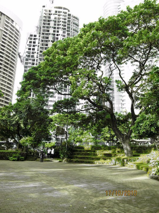 Kasalikasan Garden-塔吉格必去景点