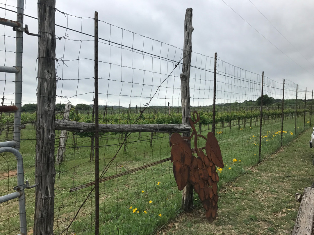 Spicewood Vineyards-Spicewood必去景点