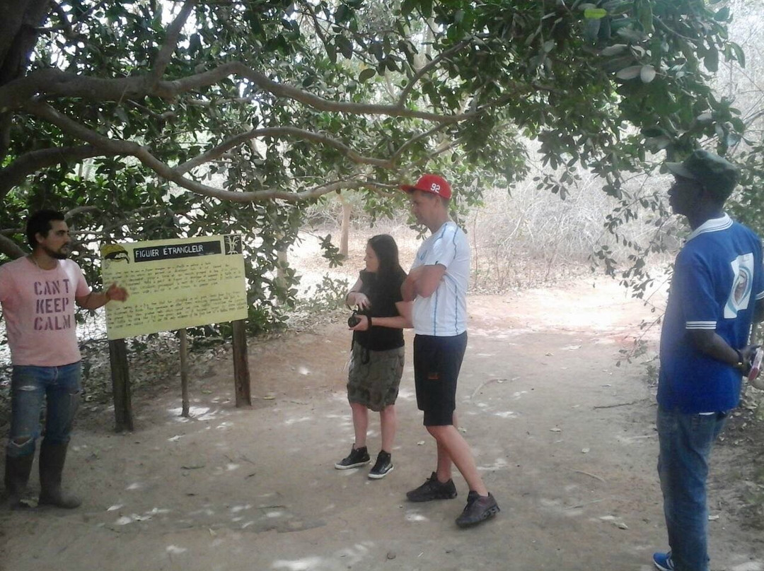 Le Village des Tortues景点图片