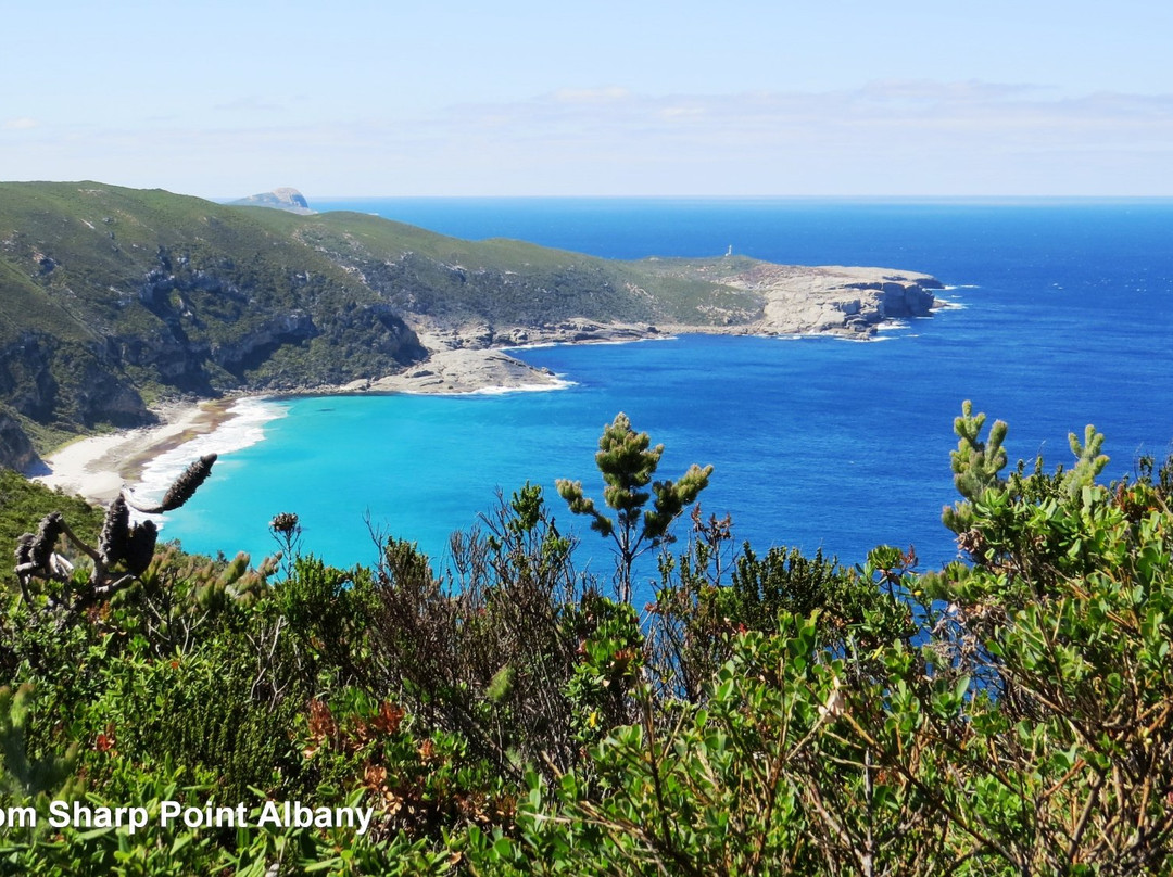 Sharp Point-奥尔巴尼必去景点