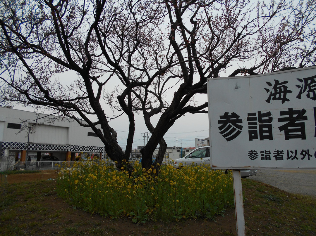 Kaigenji Temple景点图片