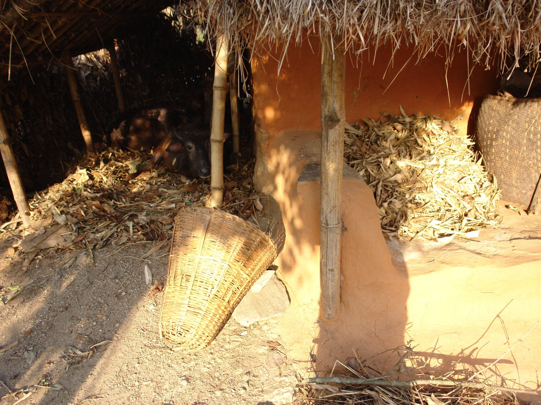 Ranighat Palace-丹森必去景点