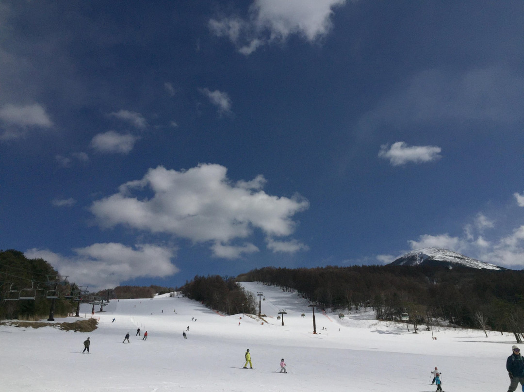 Shirakaba Highland International Ski Area景点图片
