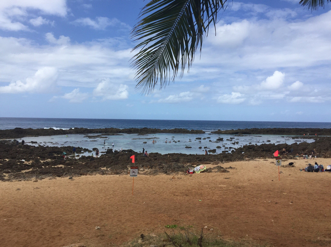 Waialua Bay-哈雷瓦必去景点